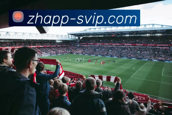 B体育官网发展历程