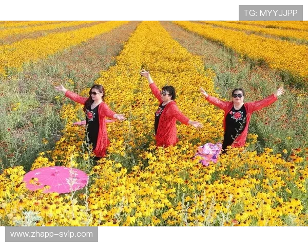 小粉和小蓝在阳光明媚的小树林里快乐玩耍度过美好午后时光